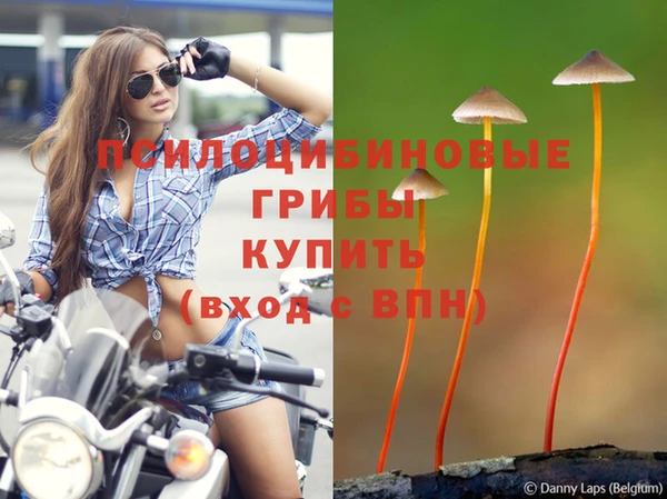 гашик Верхний Тагил