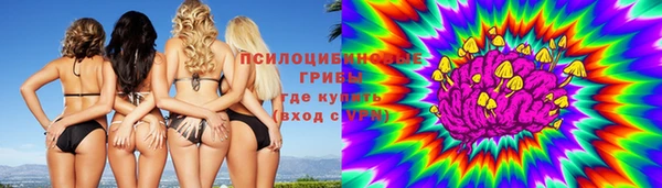 гашик Верхний Тагил