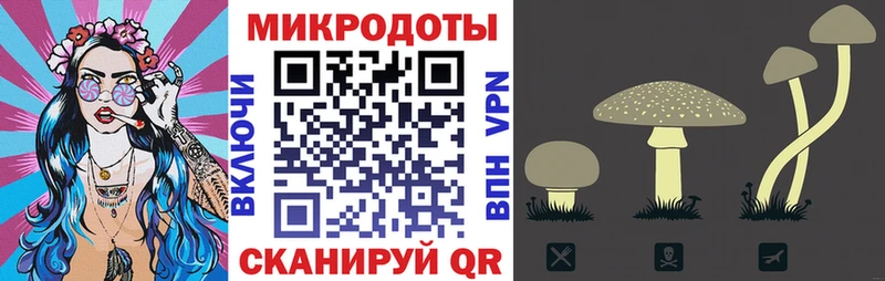 Псилоцибиновые грибы ЛСД Коммунар
