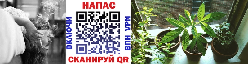 Шишки марихуана индика  как найти закладки  Коммунар 